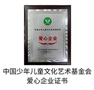中国少年儿童文化艺术基金会爱心企业证书